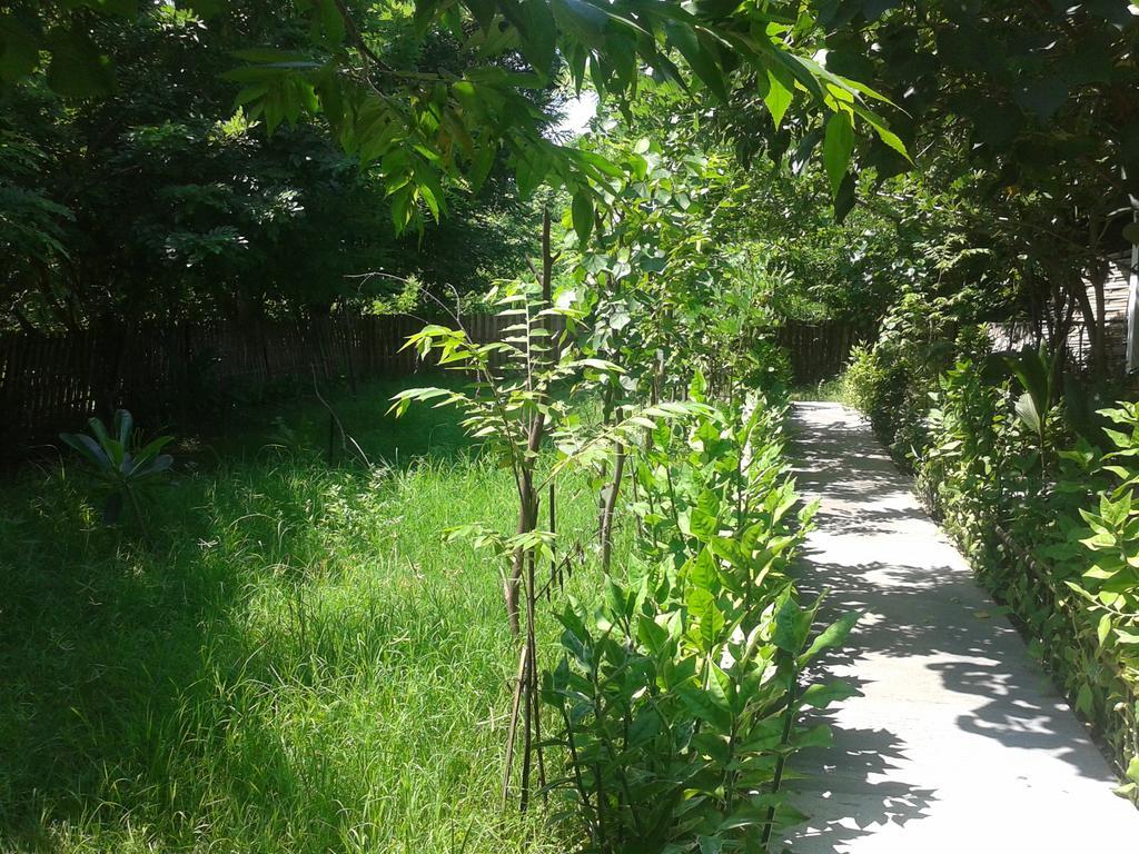 Putri Homestay ギリ島 エクステリア 写真