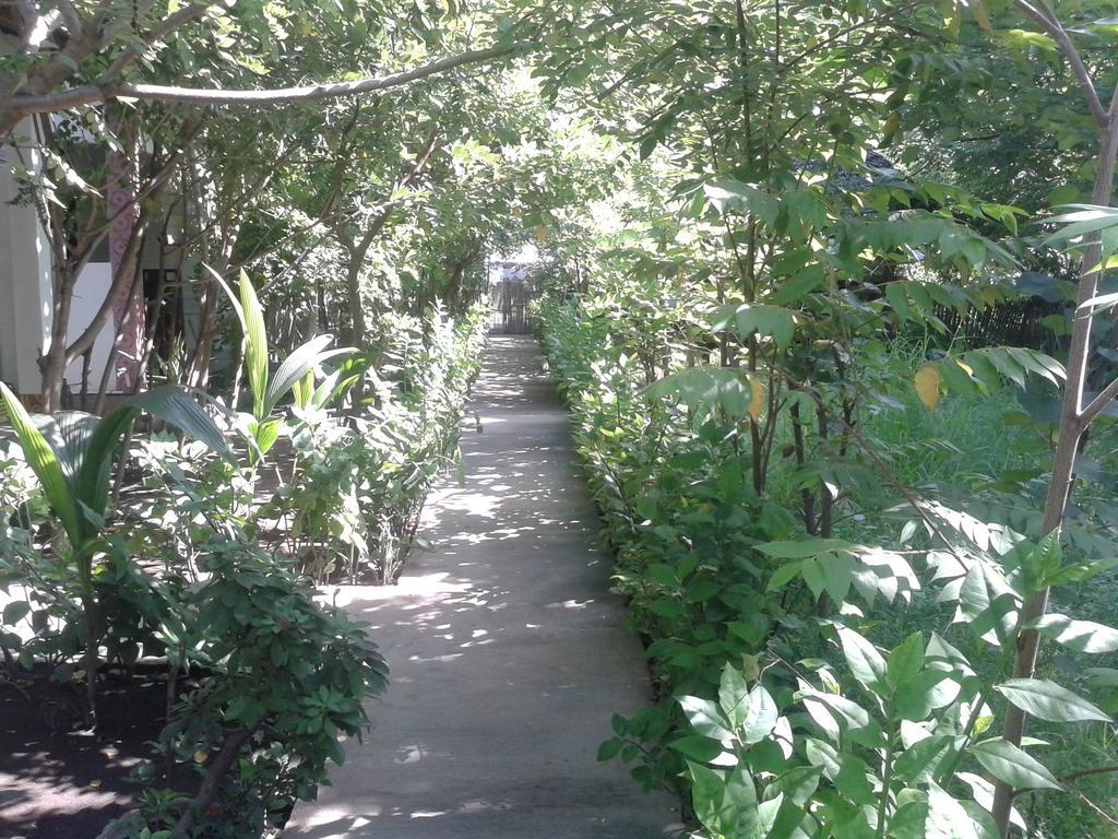 Putri Homestay ギリ島 エクステリア 写真